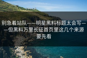 别急着站队——明星黑料标题太会写——但黑料万里长征首页里这几个来源要先看