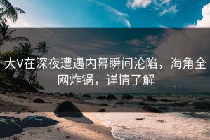 大V在深夜遭遇内幕瞬间沦陷，海角全网炸锅，详情了解