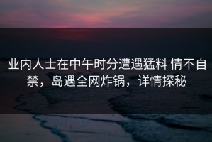 业内人士在中午时分遭遇猛料 情不自禁，岛遇全网炸锅，详情探秘