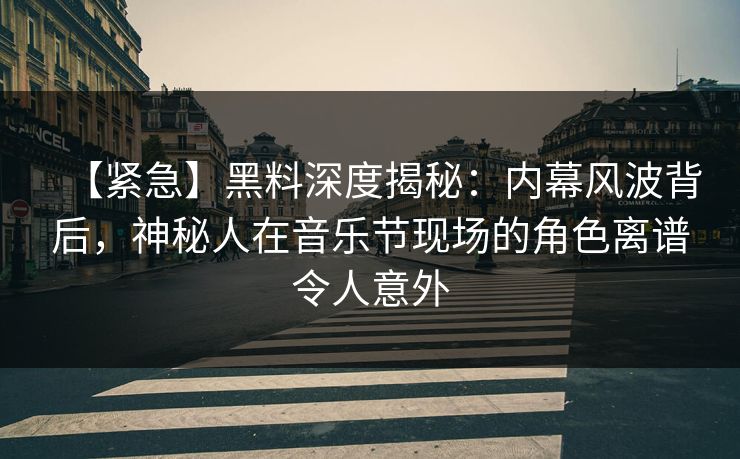 【紧急】黑料深度揭秘：内幕风波背后，神秘人在音乐节现场的角色离谱令人意外