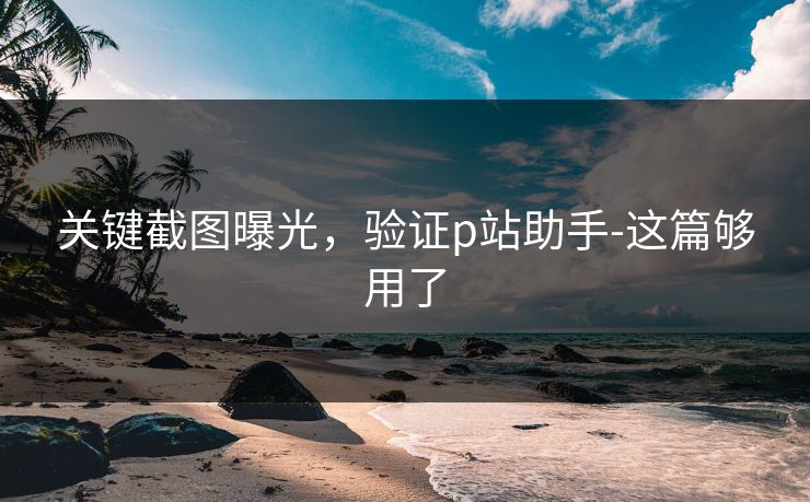 关键截图曝光，验证p站助手-这篇够用了