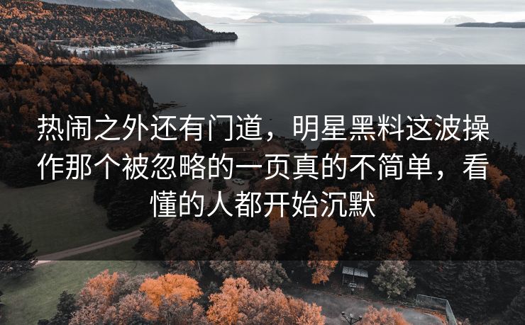热闹之外还有门道，明星黑料这波操作那个被忽略的一页真的不简单，看懂的人都开始沉默